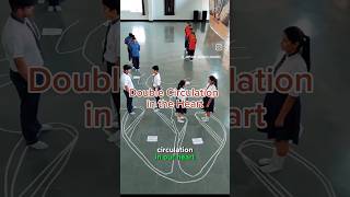 How Double Circulation works Practicle😱🔥shorts heart shirazivillagevlog [upl. by Swinton]