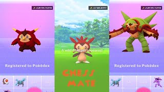 Pokemon Go Shiny Chespin Catch amp QuilladinChesnaught Evolutions [upl. by Jara]