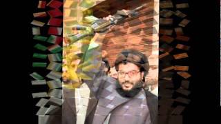 hissbollah sayed HASSAN NASRALLAH [upl. by Corsetti]