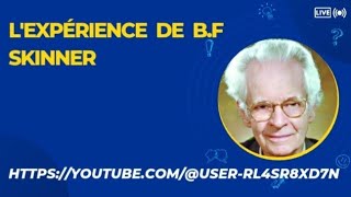 Lexpérience de BF Skinner [upl. by Sholley]