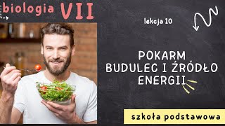 Biologia 7 Lekcja 10  Pokarm budulec i źródło energii [upl. by Yneffit]