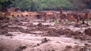 Dam collapse creates environmental disaster in Brazil [upl. by Eiramik549]