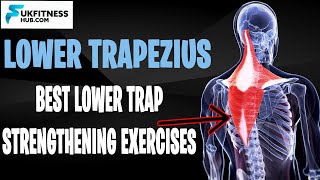 Lower Trapezius Anatomy And Activation Exercises That You Can Do At Home [upl. by Mccahill]