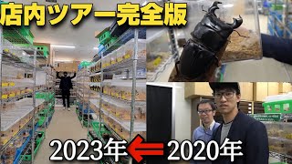 半世紀以上昆虫界隈のトップに君臨する昆虫ショップの3年間をまとめた結果 [upl. by Dunham]