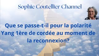 Flamme Jumelle Que se passetil pour la polarité Yang 1ère de cordée au moment de la reconnexion [upl. by Htebizile537]