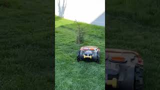 WORX Landroid Robotic Lawn Mower 3 Year Review [upl. by Lambert382]