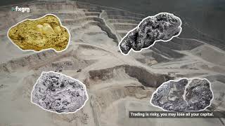 Why trade noble metals with FXGM ZA [upl. by Oriana]