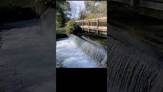 Christchurch Newzealand Beautiful Groynes Hiking Travel [upl. by Ludewig]