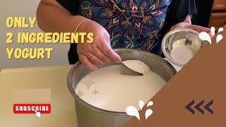 Homemade yogurt in an Instant pot with only 2 ingredients [upl. by Drehcir425]