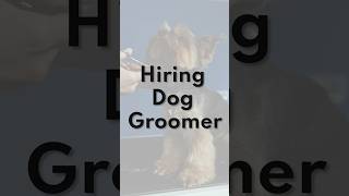 Hiring Trained Pet Groomers for a Luxury Pet Grooming Spa and Salon Rush and Apply Now [upl. by Burleigh]