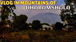 GOOD DAYS IN MOUNTAINS OF DHARAMSHALA HIMACHAL PRADESH  DHARAMSHALA VLOGS  MOUNTAIN VLOGS [upl. by Aslam]