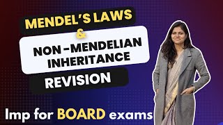 Mendels laws  law of segregation for class 12th Boards  law of dominance [upl. by Tam]