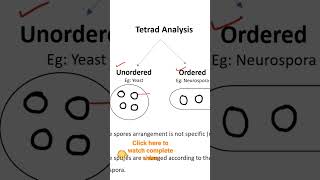 Ordered and unordered tetrad analysis [upl. by Ynaiffit]