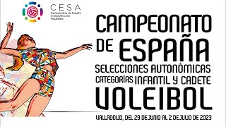 Pista 4 Voleibol CESA Voleibol Infantil Jornada Matinal Jueves 29062023 [upl. by Tsnre]