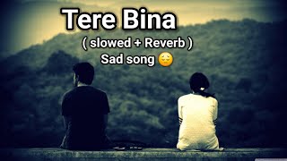 तेरे बिना  अधूरी प्यार की कहानी  Tere Bina Sad 😔 Love Story Song [upl. by Maxi]