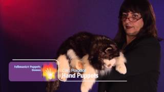 Folkmanis® Ragdoll Cat Puppet Demo [upl. by Lothar]