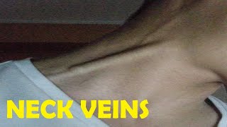 how to get neck veins best workout [upl. by Whitehurst]