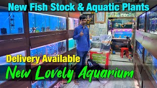 New Fish Stock amp Plants in New Lovely Aquarium I Kalyan [upl. by Ardnaik]