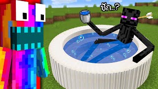 NOOB Vs PRO  I SECRETLY CHEATED In A Mob Battle In Minecraft [upl. by Eromle]