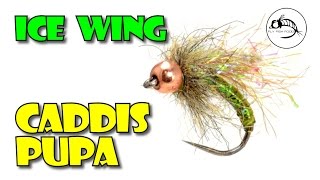 Ice Wing Caddis Pupa by Fly Fish Food [upl. by Eylhsa]