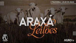 ARAXÁ LEILÕES AO VIVO  ARAXÁ MG [upl. by Anett]