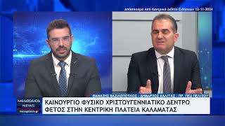 Καινούργιο φυσικό Χριστουγεννιάτικο δέντρο φέτος στην κεντρική πλατεία Καλαμάτας [upl. by Caterina]