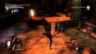 Demons Souls Expert Walkthrough 11  BOSS Flame Lurker Defeated Damn Crystal Lizards [upl. by Ahcmis634]