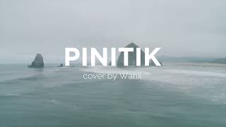 PINITIK cover by Wanil [upl. by Assilram]