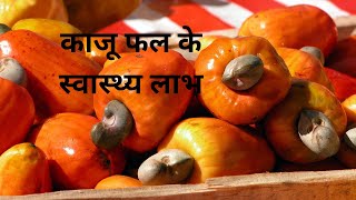 Cashew Fruit Benefits in Hindi काजू फल के स्वास्थ्य लाभ [upl. by Imalda]