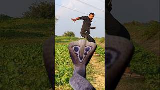 Anaconda Snake in real life P16shortssnake python snakes naginanaconda bigsnake viralvideo [upl. by Iaj]