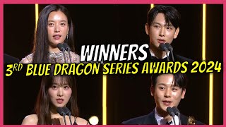 3rd Blue Dragon Series Awards 2024 Winners [upl. by Uile752]