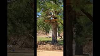 Davy Crockett Birthplace state park hurricane Helene flood damage [upl. by Angadreme]