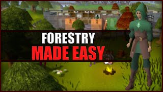 Quick Guide to Forestry in OSRS [upl. by Atinrahs]