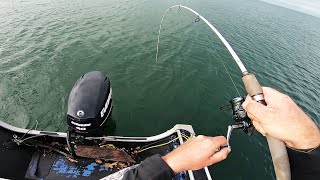 Blackfish and Striper Jigging with Underwater View [upl. by Nylitak]