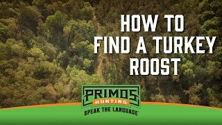 How to Find a Turkey Roost [upl. by Amaral]