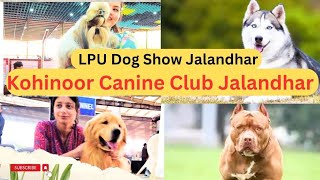 Dog Show Jalandhar  LPU Dog Show dogshow [upl. by Airak]