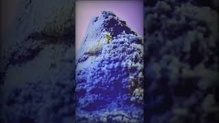 🌋 Watch the sand flow in reverse to form a mountain oddlysatisfying kineticsandasmr sandsift [upl. by Pammie759]