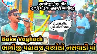 Bako Vaghach નસવાડીમા ભાથીજી મહારાજના ખેડાની મોજ  બકો વઘાચ ભાથીજી મહારાજના ડાકલા bakovaghach [upl. by Assetnoc]