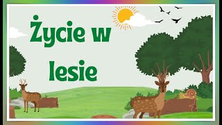 Las  co to jest Życie w lesie  lekcja przyrody dla klasy 4 [upl. by Cece535]