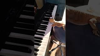 MR Speedy being a pro at piano funny [upl. by Suzzy]