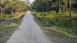 ALIPURDUAR CHILAPATA FOREST Like subscribe koredin [upl. by Eibob]