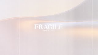 Fragile Official Lyric Video [upl. by Poree419]