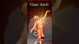 Gaur Aarti ऐसा भजन आपने कभी नहीं सुना होगा shorts [upl. by Adnocahs]