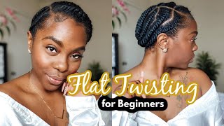 Learn How to Flat Twist for Beginners [upl. by Ytinav98]