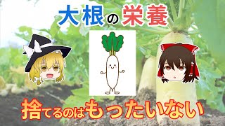 捨てるのはもったいない！！！大根の栄養を無駄なく摂りましょう。【ゆっくり解説】 [upl. by Aketal574]