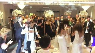 Zaffa Wedding Entrance London UK by Ahenkli Music [upl. by Euqram]