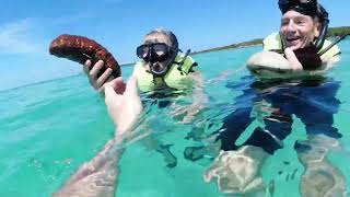 Cococay Snorkeling Excursion Review 2024 [upl. by Avahc116]