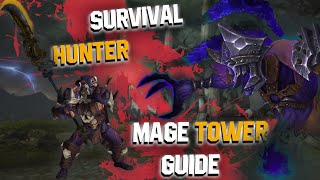 Fast amp Easy Survival Hunter Mage Tower Guide  Closing the Eye  Challenge Dragonflight [upl. by Monro]