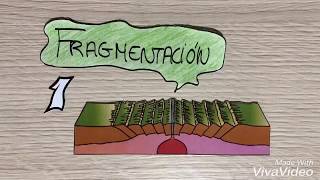 CICLO DE WILSON Rift Dorsal Oceánica Expansión Subducción y Obducción [upl. by Alana]