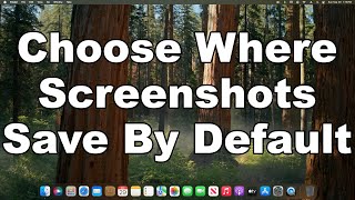 How To Choose Where Screenshot Save By Default On Mac  A Quick amp Easy Guide [upl. by Irish968]